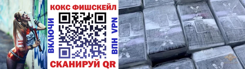 Купить закладки  Мглин  Cocaine 98% 