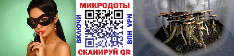 Псилоцибиновые грибы ЛСД  Купить закладки  Мглин 